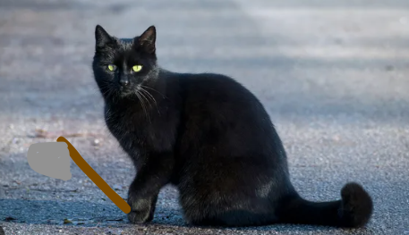 3 Axe Thrower Superstitions AND 3 PROVEN, ABSOLUTELY TRUE Solutions