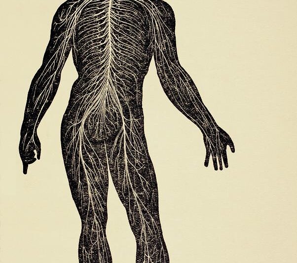 What to do with your pre-throw nerves